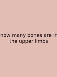 How Many Bones Are In The Upper Limbs