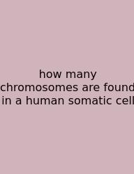 How Many Chromosomes Are Found In A Human Somatic Cell