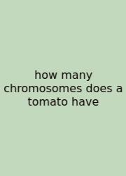 How Many Chromosomes Does A Tomato Have