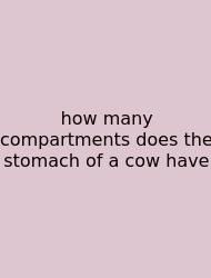 How Many Compartments Does The Stomach Of A Cow Have
