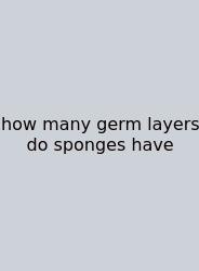 How Many Germ Layers Do Sponges Have