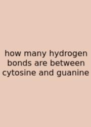 How Many Hydrogen Bonds Are Between Cytosine And Guanine