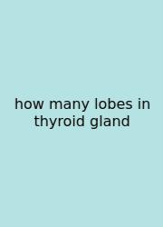 How Many Lobes In Thyroid Gland