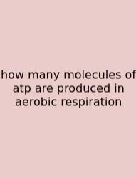 How Many Molecules Of Atp Are Produced In Aerobic Respiration