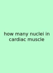 How Many Nuclei In Cardiac Muscle