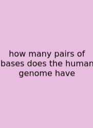 How Many Pairs Of Bases Does The Human Genome Have
