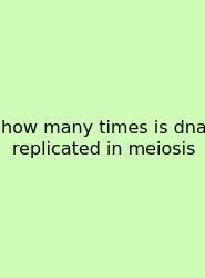 How Many Times Is Dna Replicated In Meiosis