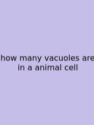 How Many Vacuoles Are In A Animal Cell