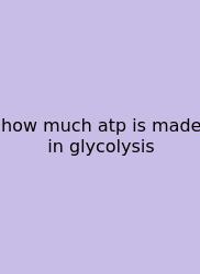 How Much Atp Is Made In Glycolysis