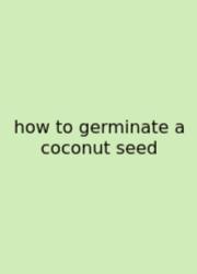 How To Germinate A Coconut Seed