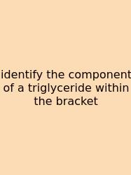 Identify The Component Of A Triglyceride Within The Bracket