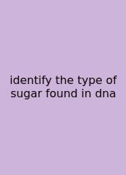 Identify The Type Of Sugar Found In Dna
