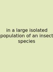In A Large Isolated Population Of An Insect Species