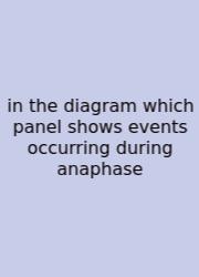 In The Diagram Which Panel Shows Events Occurring During Anaphase