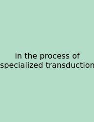 In The Process Of Specialized Transduction