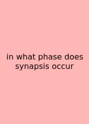 In What Phase Does Synapsis Occur