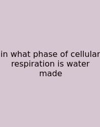 In What Phase Of Cellular Respiration Is Water Made