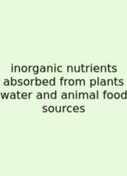 Inorganic Nutrients Absorbed From Plants Water And Animal Food Sources