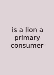 Is A Lion A Primary Consumer