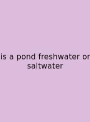 Is A Pond Freshwater Or Saltwater
