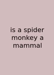 Is A Spider Monkey A Mammal