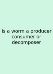 Is A Worm A Producer Consumer Or Decomposer