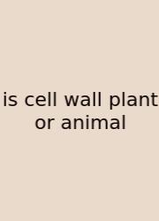 Is Cell Wall Plant Or Animal