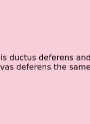 Is Ductus Deferens And Vas Deferens The Same