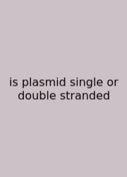 Is Plasmid Single Or Double Stranded