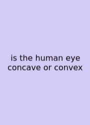 Is The Human Eye Concave Or Convex
