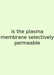Is The Plasma Membrane Selectively Permeable