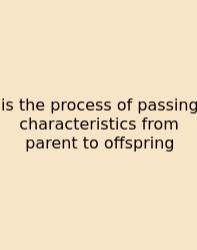 Is The Process Of Passing Characteristics From Parent To Offspring