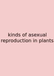 Kinds Of Asexual Reproduction In Plants