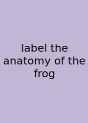 Label The Anatomy Of The Frog