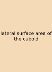Lateral Surface Area Of The Cuboid