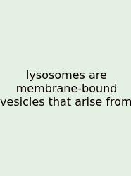 Lysosomes Are Membrane-bound Vesicles That Arise From