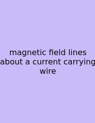 Magnetic Field Lines About A Current Carrying Wire