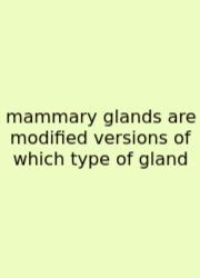 Mammary Glands Are Modified Versions Of Which Type Of Gland