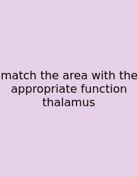 Match The Area With The Appropriate Function Thalamus