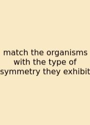 Match The Organisms With The Type Of Symmetry They Exhibit