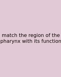Match The Region Of The Pharynx With Its Function