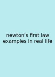 Newton's First Law Examples In Real Life