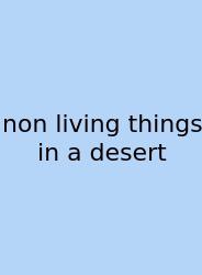 Non Living Things In A Desert