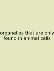 Organelles That Are Only Found In Animal Cells
