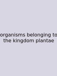 Organisms Belonging To The Kingdom Plantae