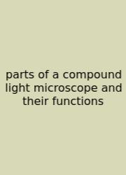 Parts Of A Compound Light Microscope And Their Functions