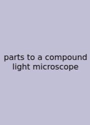 Parts To A Compound Light Microscope