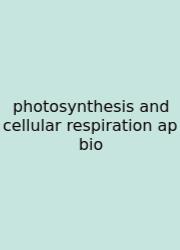 Photosynthesis And Cellular Respiration Ap Bio