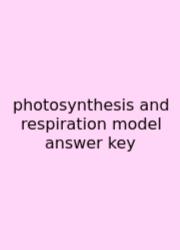 Photosynthesis And Respiration Model Answer Key