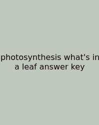 Photosynthesis What's In A Leaf Answer Key